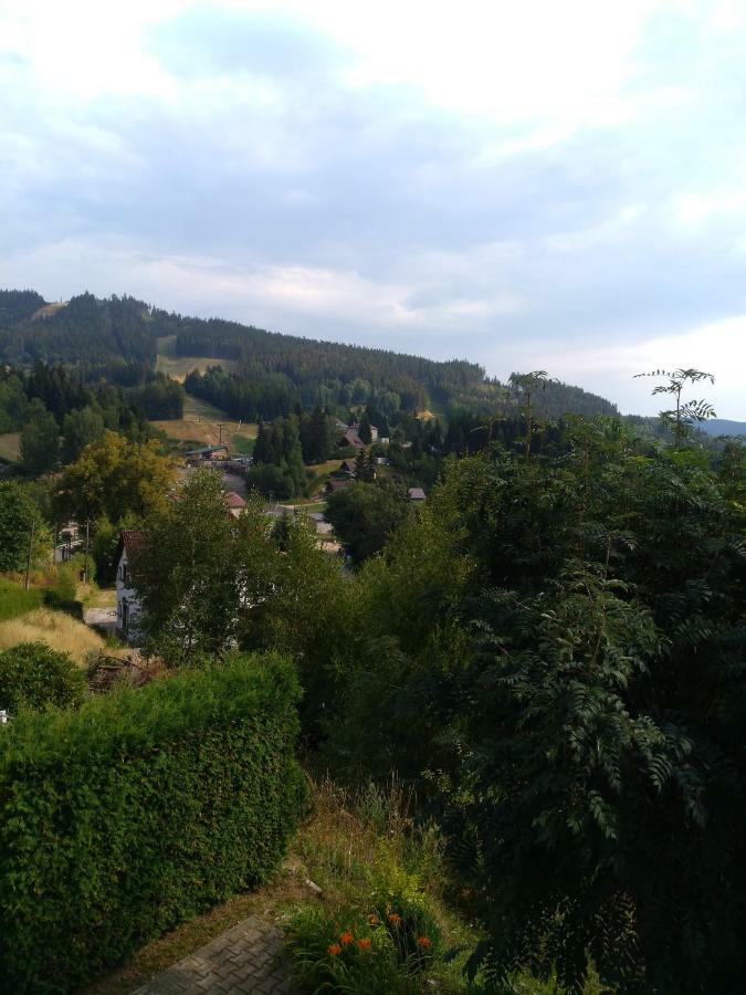 Apartman Kral Albrechtice v Jizerskych horach Exterior foto
